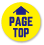 scroll to top